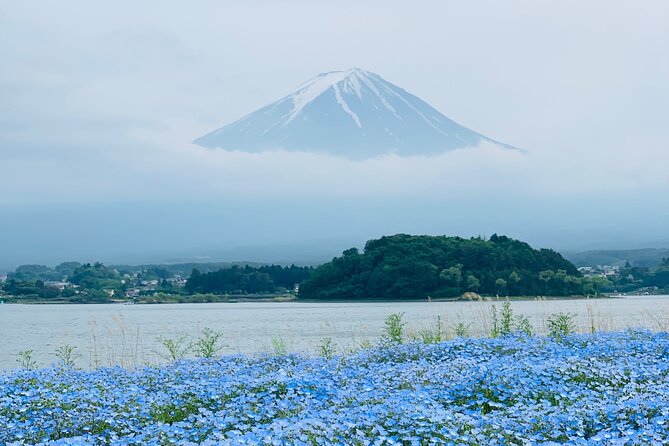 Mount Fuji Adventures Private English Tour With Hotel Pick Up - Lake Kawaguchiko and Oishi Park: classic Fuji framing