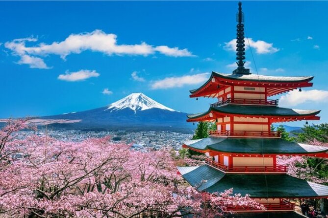 Mount Fuji and Hakone Private Tour by Car with Pickup from Tokyo - Private Tokyo pickup and why it matters for Hakone and Mt. Fuji