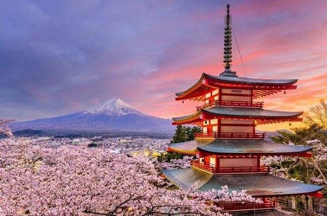 Mount Fuji and Hakone Private Tour by Car with Pickup from Tokyo - Gora Park in Hakone: a French-style garden with a clear purpose