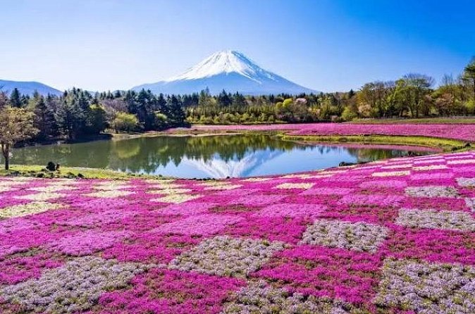 Mount Fuji and Hakone Private Tour by Car with Pickup from Tokyo - Optional Hakone Shrine and Kuzuryu Shrine: torii photos by Lake Ashi