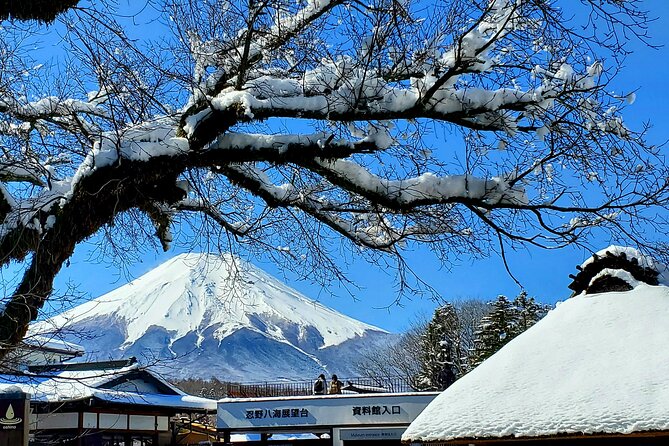 Mount Fuji and Hakone Private Tour from Tokyo (Customizable) - Key things I’d plan around