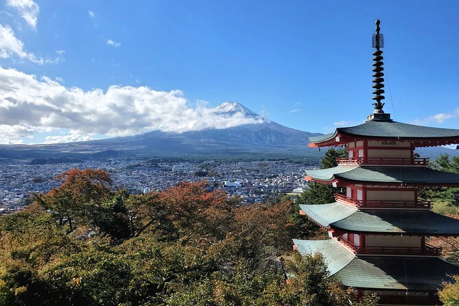 Mount Fuji and Hakone Private Tour from Tokyo (Customizable) - From Tokyo to two view-heavy icons in one day