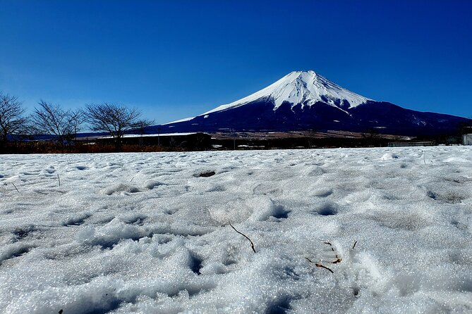 Mount Fuji and Hakone Private Tour from Tokyo (Customizable) - Oshino Hakkai: the springs break up the long drive