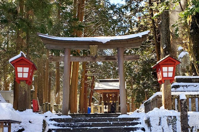 Mount Fuji and Hakone Private Tour from Tokyo (Customizable) - Lake Ashinoko and the optional Pirate Cruise fee
