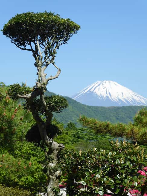 Mount Fuji: Customizable Private Tour By Car With Pickup - Mt. Fuji 5th Station: The Big Altitude Moment (Plus Shopping Time)