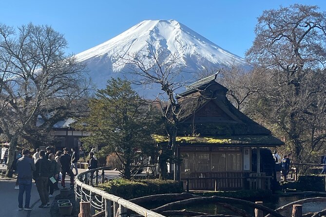 Mount Fuji Full Day Customize Private Tour with English Guide - A private Fuji day: the real value is time, not just sights