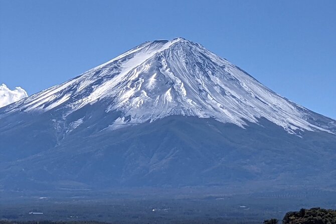 Mount Fuji Full Day Customize Private Tour with English Guide - Stop 3: Oshino Hakkai, eight pools and easy strolling