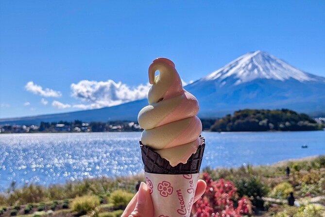 Mount Fuji Full Day Customize Private Tour with English Guide - Stop 5: Kitaguchi Hongu Fuji Sengen Jinja for spiritual context