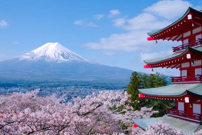 Mount Fuji Full Day Customize Private Tour with English Guide - Price, group size, and what that means for your day