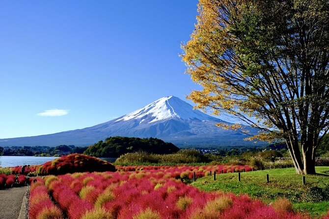 Mount Fuji Full Day Customized Private Tour with English Guide - The start: pickup, mobile ticket, and a comfortable ride