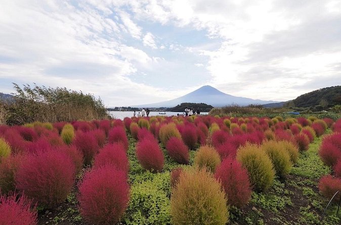Mount Fuji Full Day Customized Private Tour with English Guide - Oshino Hakkai: volcanic ponds you can slow down at
