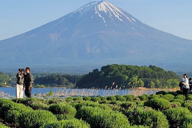 Mount Fuji Full Day Customized Private Tour with English Guide - Narusawa Ice Cave: the surprise highlight option