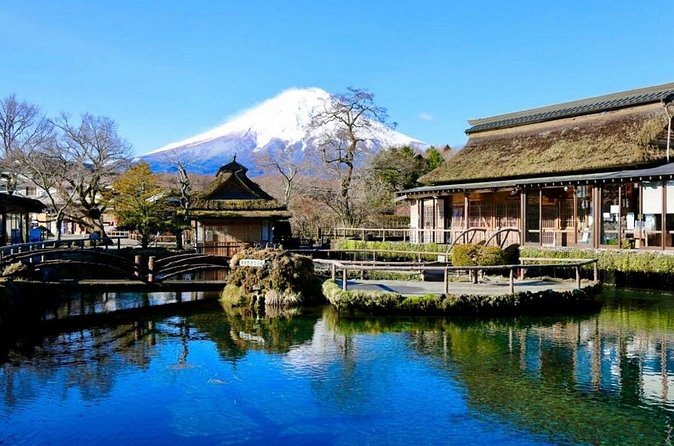 Mount Fuji Full Day Customized Private Tour with English Guide - Optional Hakone add-ons: ropeway mention plus volcanic stops