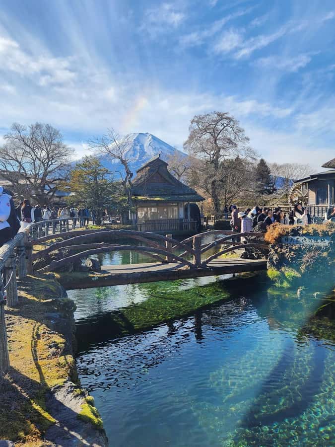 Mount Fuji Full-Day Private Sightseeing Tour with Guide - What This Tour Really Feels Like From Tokyo