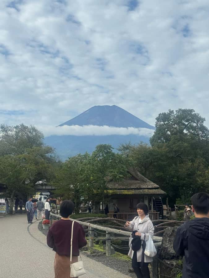 Mount Fuji Full-Day Private Sightseeing Tour with Guide - Weather, Clouds, and Why Your Guide Matters More Than the Brochure