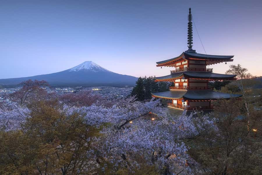 Mount Fuji Full-Day Private Sightseeing Tour with Guide - Who This Tour Is For (And Who Might Want Another Option)