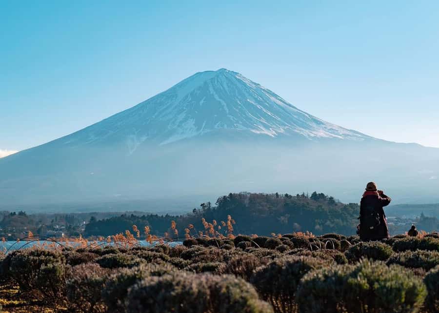 Mount Fuji Full-Day Private Sightseeing Tour with Guide - Price and Value: Is $403 Per Group a Smart Move?