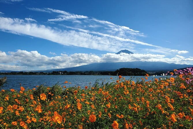 Mount Fuji Full-Day Private Tour from Shimizu Port (Customizable) - Oishi Park and the simple joys of seasonal flowers