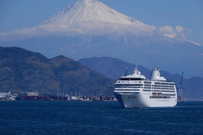 Mount Fuji Full-Day Private Tour from Shimizu Port (Customizable) - Saiko Iyashi no Sato Nemba, the healing village by Lake Saiko