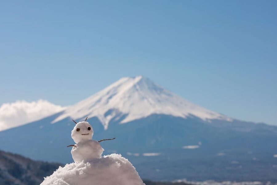 Mount Fuji Full-Day Private Tour from Tokyo (Customizable) - Key things I’d circle before you book
