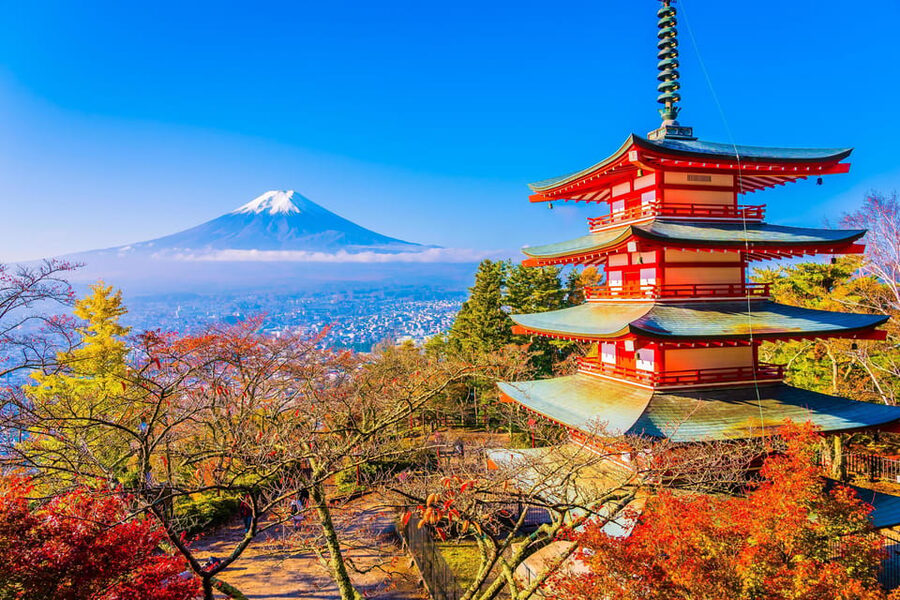 Mount Fuji Full-Day Private Tour from Tokyo (Customizable) - Pickup, timing, and traffic: start early or pay in gridlock
