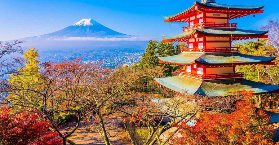 Mount Fuji Full-Day Private Tour from Tokyo (Customizable) - Lake Kawaguchiko and Oishi Park: the best odds for the Fuji reflection