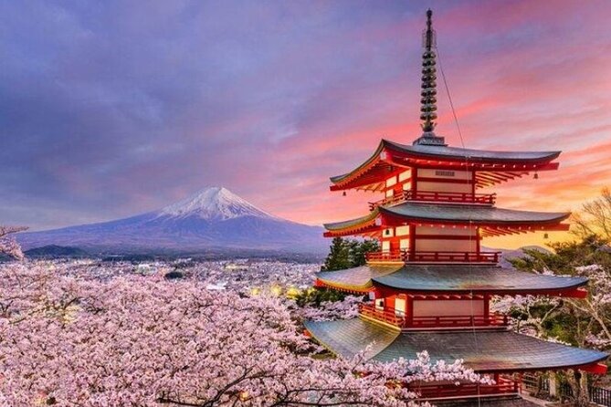 Mount Fuji (Mt. fuji) private tour by car with pickup from Tokyo - Private Pickup From Tokyo, Then Mount Fuji on Your Terms