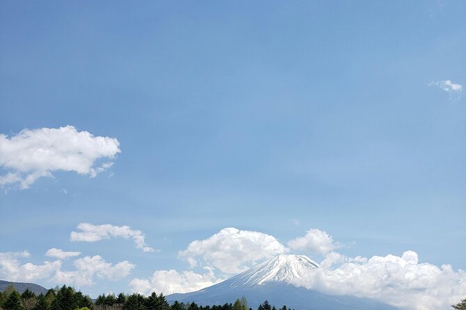 Mount Fuji (Mt. fuji) private tour by car with pickup from Tokyo - Oshino Hakkai and Kitaguchi Hongu Fuji Sengen Jinja: Clear Water and Fuji Faith