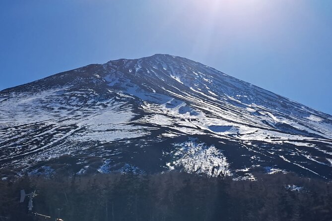 Mount Fuji (Mt. fuji) private tour by car with pickup from Tokyo - Oishi Park and Saiko Iyashi no Sato Nenba: Views, Then Old-Fashioned Japan