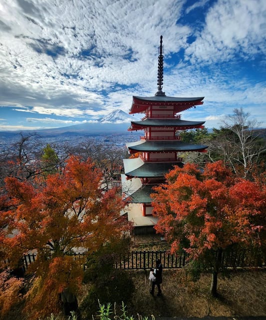 Mount Fuji Private day tour from Tokyo private & Customized - Key points to know before you go
