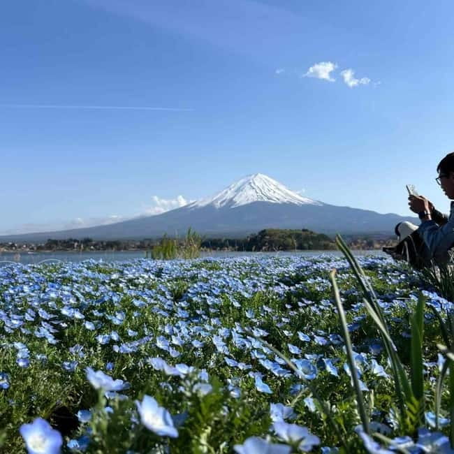 Mount Fuji Private day tour from Tokyo private & Customized - Entering The Fuji Day: How Private Transport Changes Everything