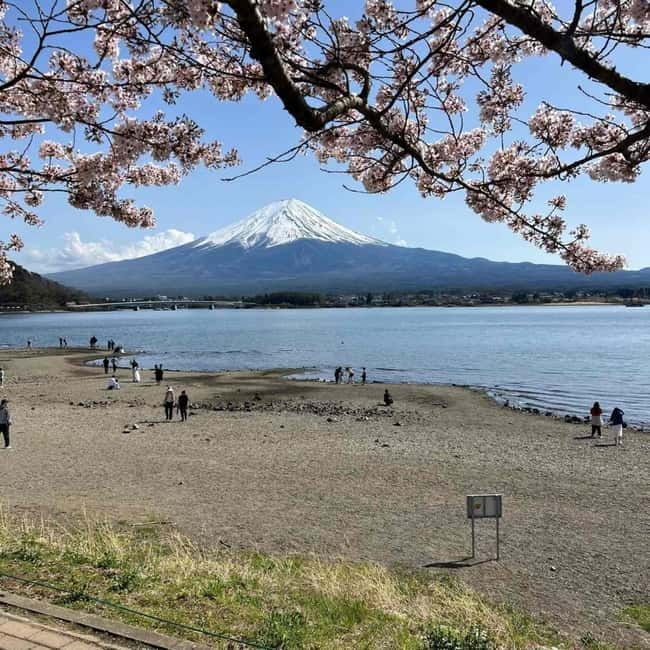 Mount Fuji Private day tour from Tokyo private & Customized - Your Driver and the Day’s Pace: Comfort Meets Real-World Flexibility