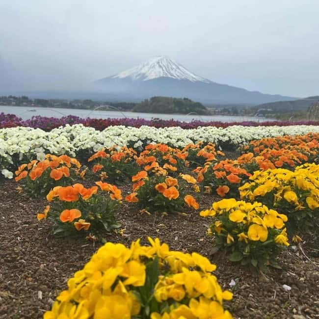Mount Fuji Private day tour from Tokyo private & Customized - Lake Kawaguchiko and Oishi Park: Where You Actually Breathe
