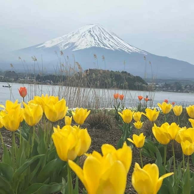 Mount Fuji Private day tour from Tokyo private & Customized - Shrine Stop and Fujiyoshida: Culture in the Middle of the Drive