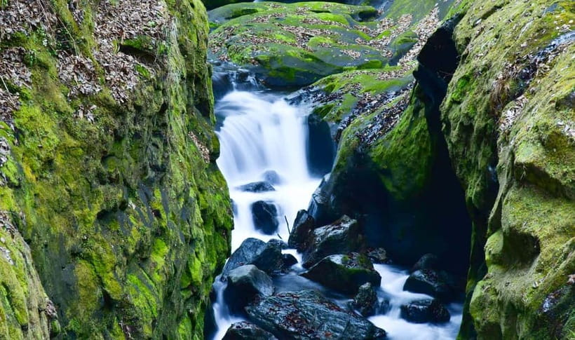 Mt. Aso & Takachiho Gorge Tour with Optional Boat Ride - Meeting Point, Guide Style, and How to Avoid the First 10 Minutes Panic