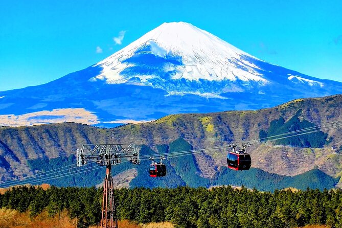 Mt Fuji and Hakone 1-Day Bus Tour Return by Bus - Odawara and Shinjuku end points: how your return changes on busy days