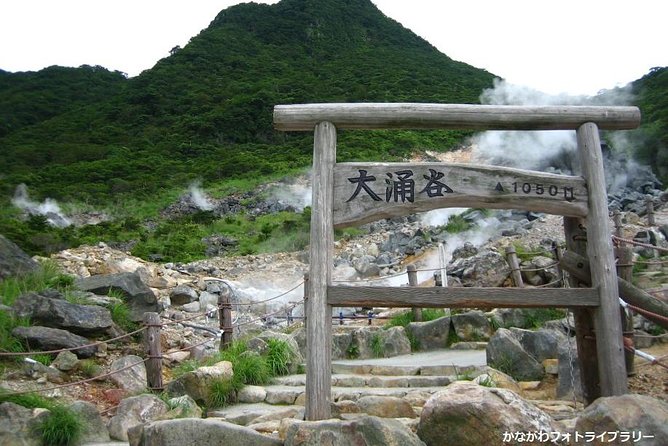 Mt. Fuji and Hakone Day Trip From Tokyo with Bullet Train Option - Staying oriented between coach, ropeway, and what’s actually included