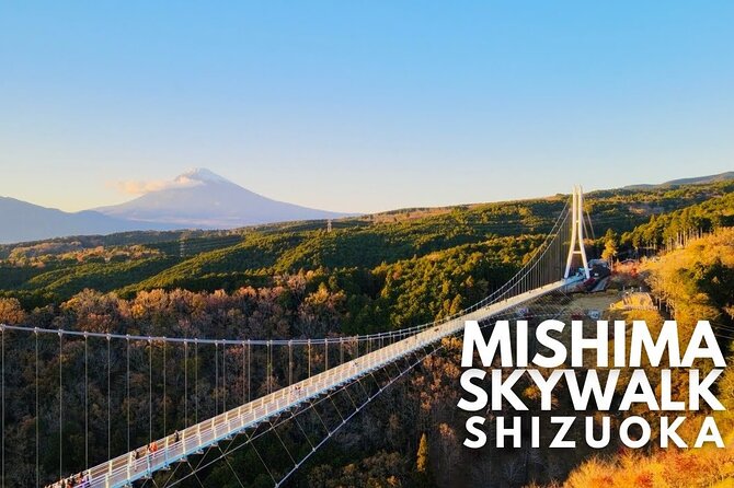 Mt. Fuji and Hakone Private Tour with English Speaking Guide - Price and Logistics: When $579 Makes Sense, and When It Might Not