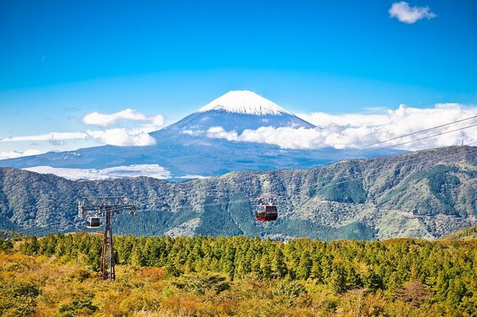 Mt. Fuji and Hakone Private Tour with English Speaking Guide - Arakurayama Sengen Park: The Fuji Pagoda View in One Easy Stop