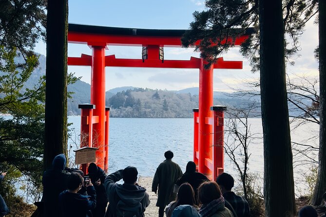 Mt. Fuji, Cherry Blossom & Shiba Sakura Pvt. Day Tour - Why This Private Fuji Day Trip Feels Easier Than Train Hopping