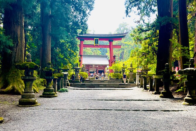 Mt. Fuji, Cherry Blossom & Shiba Sakura Pvt. Day Tour - Oshino Hakkai: World Heritage Water, Shops, and Cherry Blossom Trees