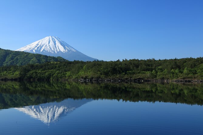 Mt Fuji Customizable Private Tour English Speaking Driver Pick-up - Why a private Mt. Fuji car tour beats public transit