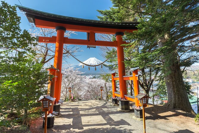 Mt Fuji Customizable Private Tour English Speaking Driver Pick-up - Saiko Iyashi no Sato Nenba: traditional village views with extra ticket cost