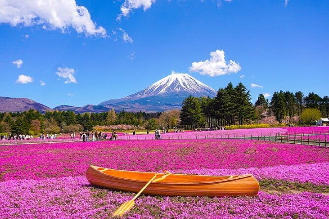 Mt. Fuji Day tour: Kawaguchi Lake Ropeway, Matcha, Oshino Hakkai - Key things that make this Mt. Fuji day tour work