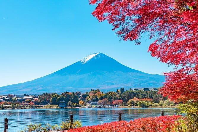 Mt. Fuji Day tour: Kawaguchi Lake Ropeway, Matcha, Oshino Hakkai - Price and logistics: $66.05 is the headline, but the schedule is the fine print