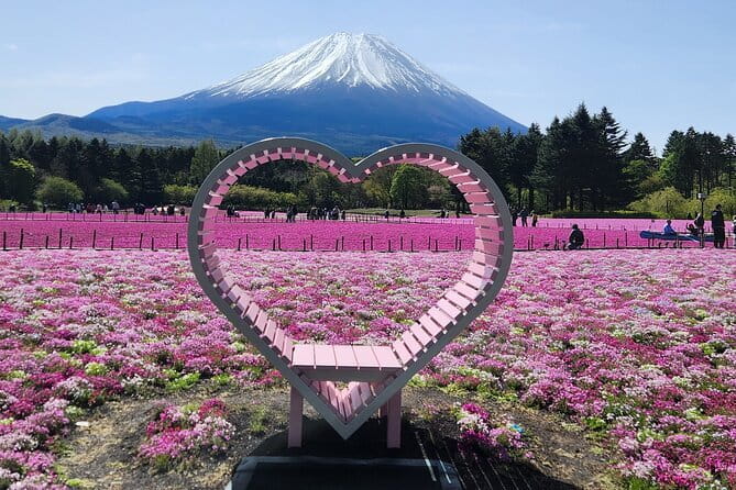 Mt. Fuji Day tour: Kawaguchi Lake Ropeway, Matcha, Oshino Hakkai - Crowd and timing reality: where your time actually goes