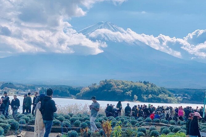 Mt. Fuji Day Trip from Tokyo with English Speaking Driver Guide - Stop by Stop: How the Route Works and What You’ll Actually Do