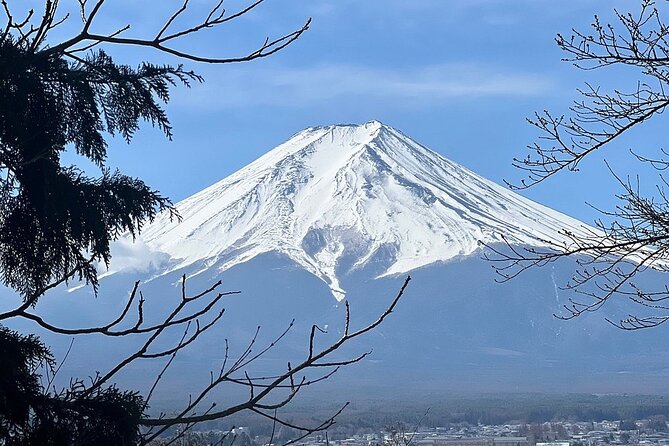 Mt. Fuji Day Trip from Tokyo with English Speaking Driver Guide - Small Costs to Budget So the Day Stays Smooth
