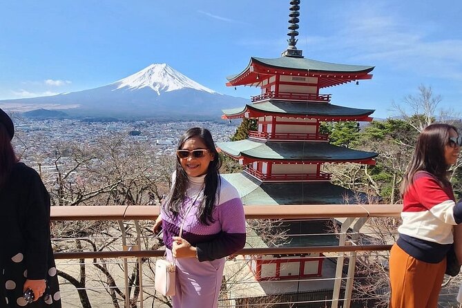 Mt. Fuji Day Trip from Tokyo with English Speaking Driver Guide - Who This Mt. Fuji Private Day Trip Is Perfect For
