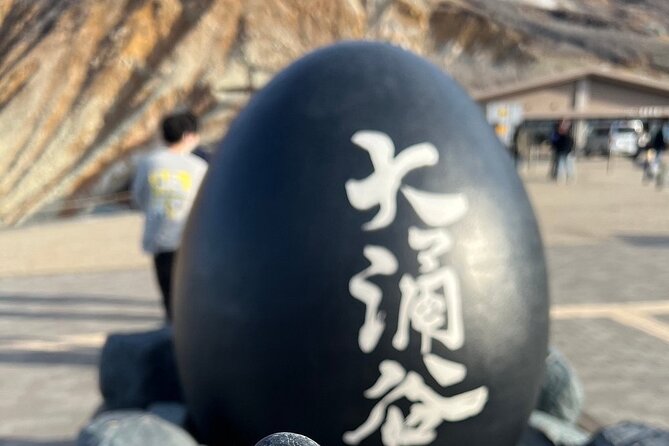 Mt. Fuji Day Trip from Tokyo with English Speaking Driver Guide - Should You Book This Private Mt. Fuji Day Trip?